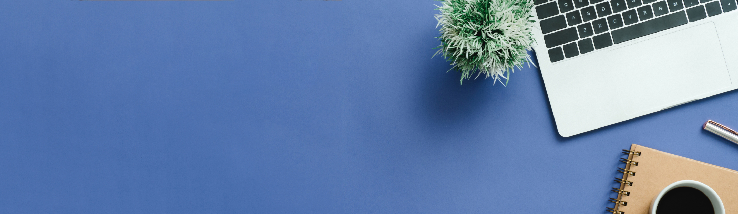 Saisie de données professionnelle