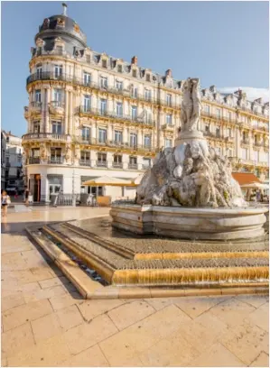 Saisie Facile Montpellier