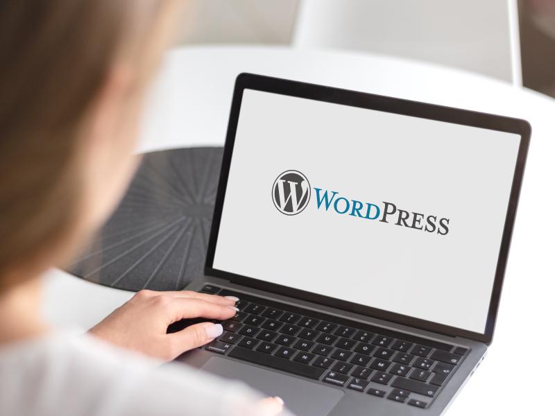 saisie de contenus sur WordPress